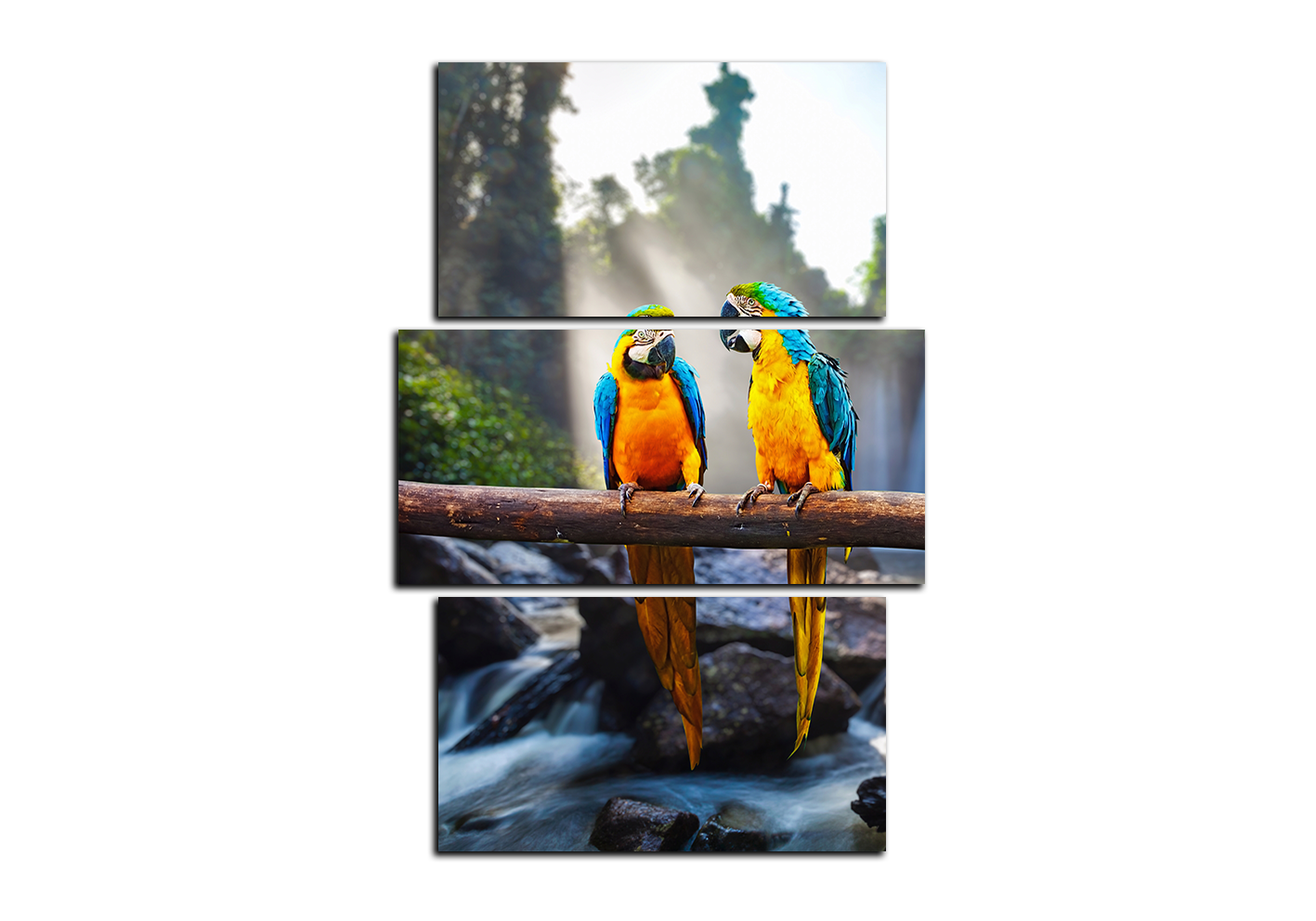 Obraz na plátně - Modro žluté Macaw - obdélník Obraz na plátně - Modro žluté Macaw - obdélník
